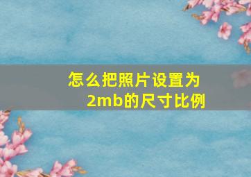 怎么把照片设置为2mb的尺寸比例