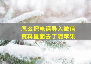 怎么把电话导入微信资料里面去了呢苹果