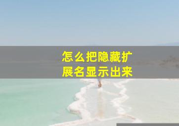 怎么把隐藏扩展名显示出来