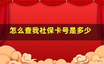 怎么查我社保卡号是多少