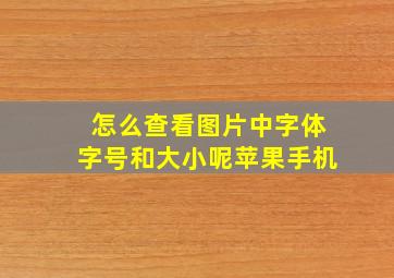 怎么查看图片中字体字号和大小呢苹果手机