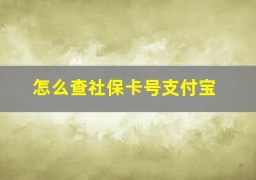 怎么查社保卡号支付宝