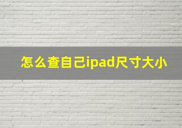 怎么查自己ipad尺寸大小