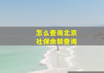 怎么查询北京社保余额查询