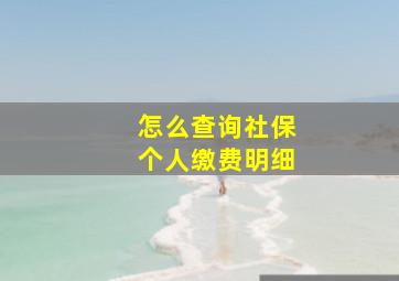 怎么查询社保个人缴费明细