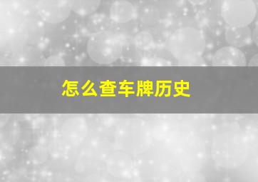 怎么查车牌历史