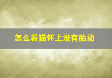 怎么看猫怀上没有胎动