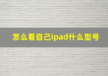 怎么看自己ipad什么型号