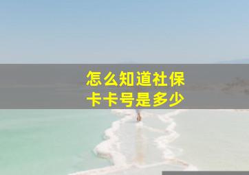 怎么知道社保卡卡号是多少