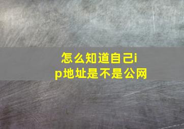 怎么知道自己ip地址是不是公网