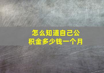 怎么知道自己公积金多少钱一个月