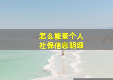 怎么能查个人社保信息明细