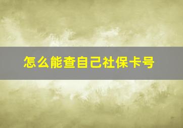 怎么能查自己社保卡号