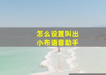 怎么设置叫出小布语音助手