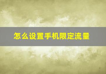 怎么设置手机限定流量