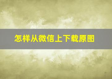 怎样从微信上下载原图