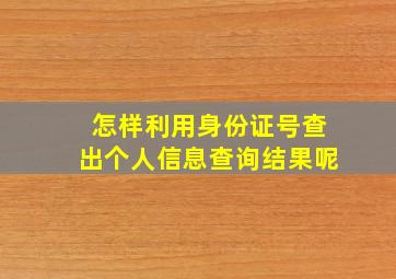 怎样利用身份证号查出个人信息查询结果呢