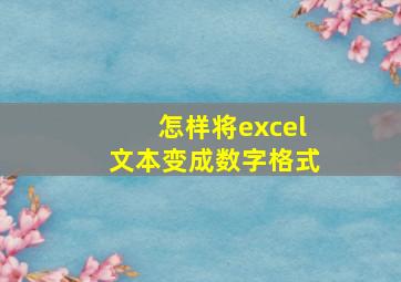 怎样将excel文本变成数字格式