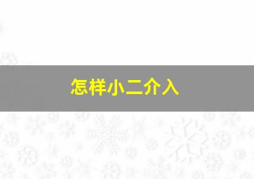 怎样小二介入