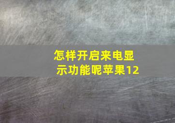 怎样开启来电显示功能呢苹果12