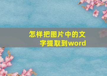 怎样把图片中的文字提取到word