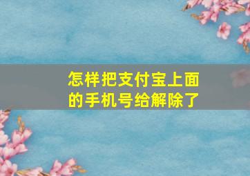 怎样把支付宝上面的手机号给解除了