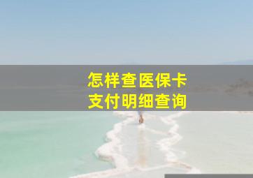 怎样查医保卡支付明细查询