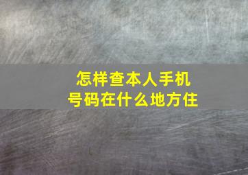 怎样查本人手机号码在什么地方住