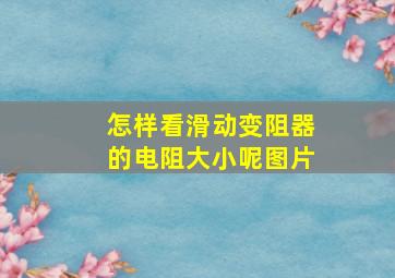 怎样看滑动变阻器的电阻大小呢图片