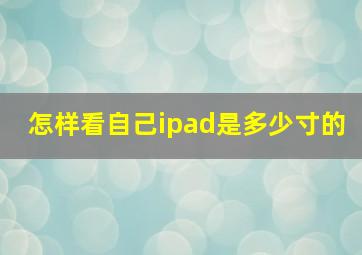 怎样看自己ipad是多少寸的