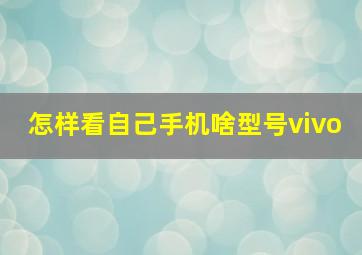 怎样看自己手机啥型号vivo