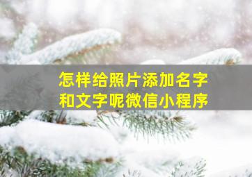 怎样给照片添加名字和文字呢微信小程序