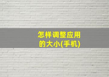 怎样调整应用的大小(手机)