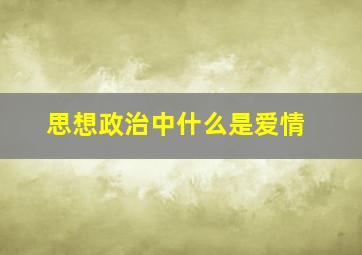 思想政治中什么是爱情