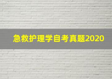 急救护理学自考真题2020