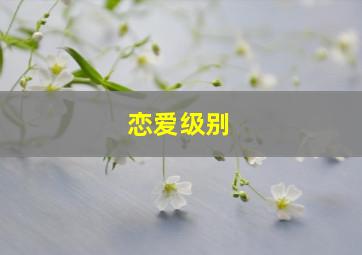 恋爱级别