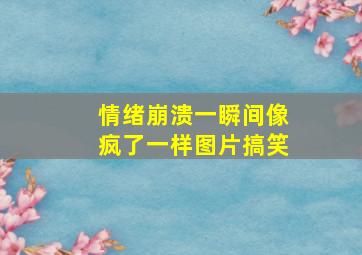 情绪崩溃一瞬间像疯了一样图片搞笑