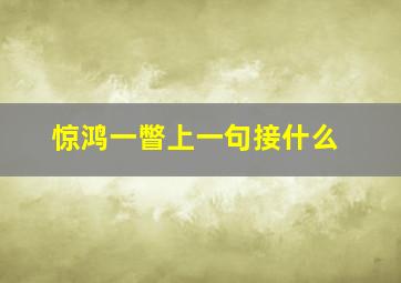 惊鸿一瞥上一句接什么