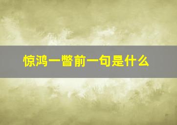 惊鸿一瞥前一句是什么