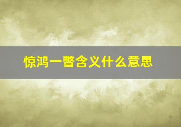 惊鸿一瞥含义什么意思