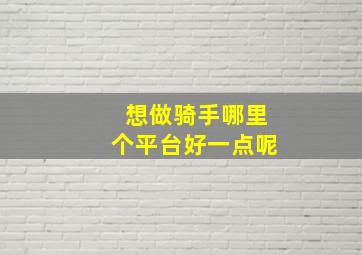 想做骑手哪里个平台好一点呢