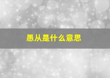 愚从是什么意思