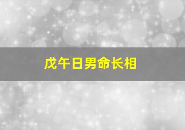 戊午日男命长相