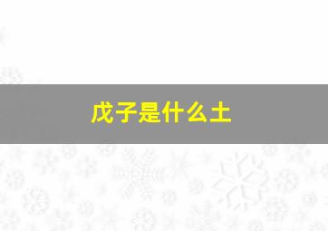 戊子是什么土