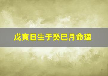 戊寅日生于癸巳月命理