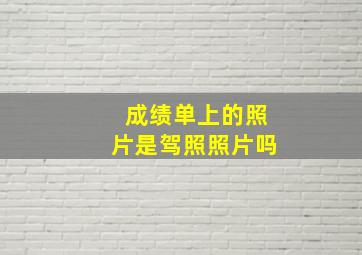 成绩单上的照片是驾照照片吗