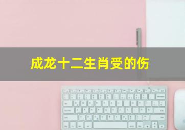 成龙十二生肖受的伤