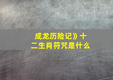 成龙历险记》十二生肖符咒是什么