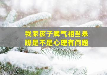 我家孩子脾气相当暴躁是不是心理有问题