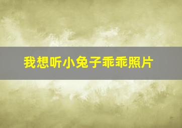 我想听小兔子乖乖照片